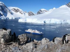 Výprava na Antarktidu: Klasické dobrodružství na lodi Ocean Diamond