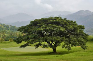 Vyzkoušejte golf na Srí Lance - Srí Lanka