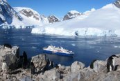 Za jižní polární kruh na lodi Ocean Diamond - Argentina