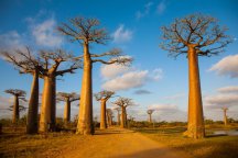 Za krásami Madagaskaru - Madagaskar