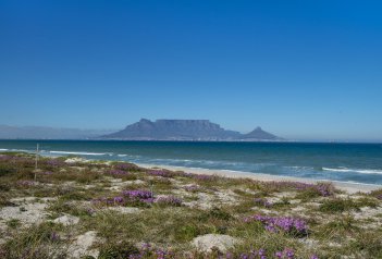 Zahrada Jižní Afriky - Jihoafrická republika