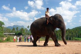 Zeleným rájem Srí Lanky - Srí Lanka