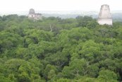 Země stromů a cesta napříč - Guatemala