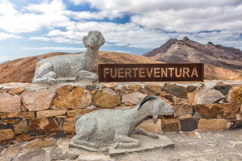 Fuerteventura, kozy, sýry