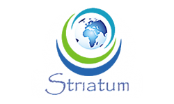Striatum
