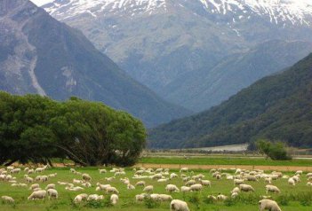 12 denní zájezd - Poznávací okruh Severním Ostrovem - Nový Zéland