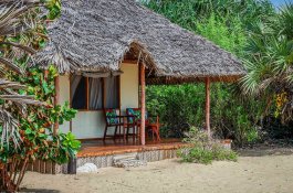 2 Dny Na Safari Saadani S Relaxem Na Zanzibaru - Tanzanie - Zanzibar