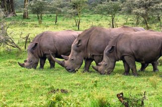 2 Dny Na Safari Selous S Relaxem Na Zanzibaru - Tanzanie - Zanzibar