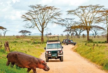 2 Dny Na Safari Selous S Relaxem Na Zanzibaru - Tanzanie - Zanzibar