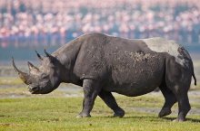 3 Dny na Safari Ngorongoro s relaxem na Zanzibaru - Tanzanie - Zanzibar