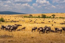 3 Dny na Safari Ngorongoro s relaxem na Zanzibaru - Tanzanie - Zanzibar