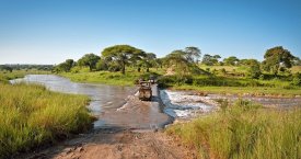 3 Dny Na Safari Saadani S Relaxem Na Zanzibaru