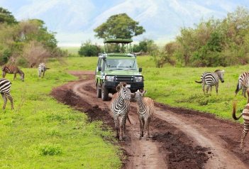 3 Dny Na Safari Selous S Relaxem Na Zanzibaru - Tanzanie - Zanzibar