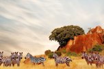 3 Dny na Safari Serengeti s relaxem na Zanzibaru - Tanzanie - Zanzibar