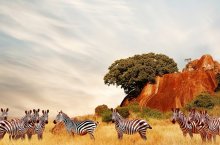 3 Dny na Safari Serengeti s relaxem na Zanzibaru - Tanzanie - Zanzibar