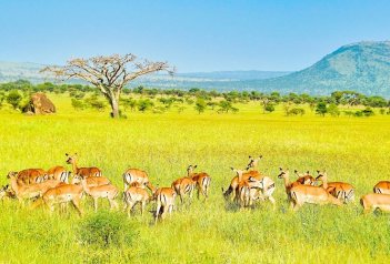 3 Dny na Safari Serengeti s relaxem na Zanzibaru - Tanzanie - Zanzibar
