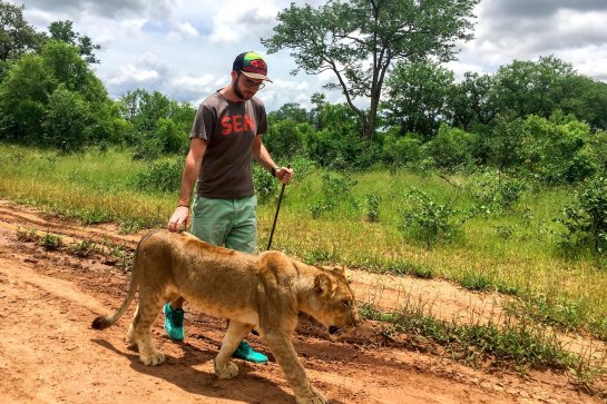 3x nej Afriky a ostrov Svatá Helena - Jihoafrická republika