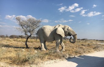 3x nej Afriky a relax na Seychelských ostrovech