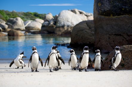 3x nej Afriky a relax na Seychelských ostrovech - Zambie