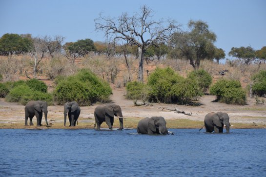 3x nej Afriky - Botswana