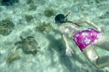 Ahoj Madagaskar! - Madagaskar