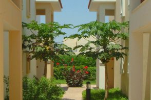 Aktea Beach Village - Kypr - Ayia Napa - Nissi Bay