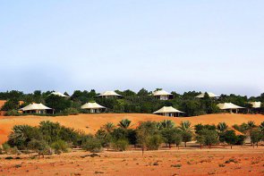 Al Maha Desert Resort - Spojené arabské emiráty - Dubaj