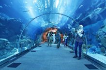 AL MANAR DELUXE HOTEL APARTMENTS - Spojené arabské emiráty - Dubaj