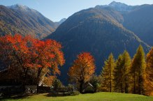 Alpinlounge W! - Itálie - Bolzano - Ultimo