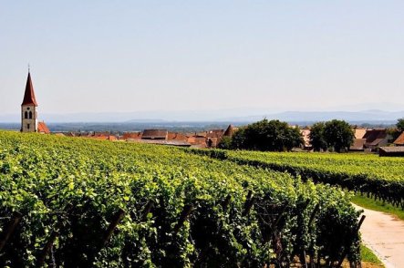 Alsaská pohádka nejen o víně a slavnost trubačů - Francie