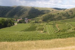 Alsasko,Schwarzwald, Vogézy, zážitky na vinné stezce - Francie