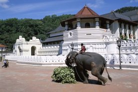 Recenze Amaya Hills Kandy