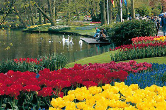 Amsterdam a kvetoucí zahrady Keukenhof - Nizozemsko
