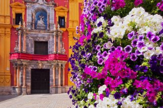 Andalusie - Costa del Sol s výlety - perly architektury a koupání - Španělsko