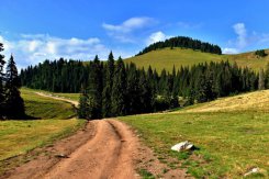 Apuseni, Bihor a Vlădeasa