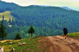 Apuseni, Bihor a Vlădeasa - Rumunsko