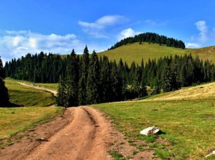 Apuseni, Bihor a Vlădeasa