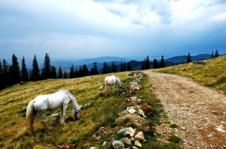 Apuseni, Bihor a Vlădeasa - Rumunsko