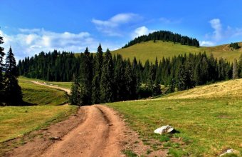 Apuseni, Bihor a Vlădeasa