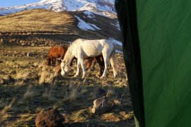 Ararat + all inclusive, golf a pláž - Turecko