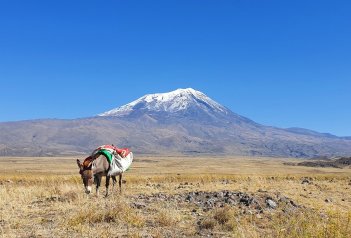 Ararat + all inclusive, golf a pláž - Turecko