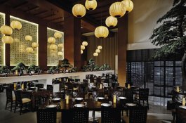 Asiana - Spojené arabské emiráty - Dubaj