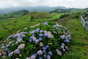 Azorské ostrovy - magické místo, které navždy učaruje - Portugalsko - Azory