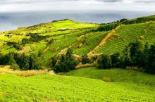 Azorské ostrovy: São Miguel, Faial, Pico - Portugalsko - Azory