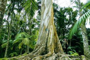 Azorské ostrovy - Portugalsko - Azory