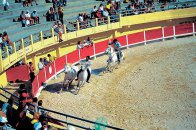 Azurové pobřeží a Provence - Francie - Provence