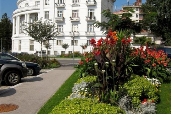 Baden - Slavnost růží - Císařské rezidence Laxenburg a Schönbrunn - Rakousko