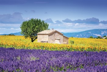 Báječná Provence - Francie - Provence