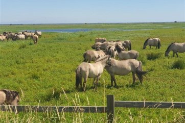 Baltským pobřežím na kole - Polsko