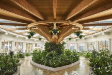 Banana Island Resort by Anantara - Katar - Doha